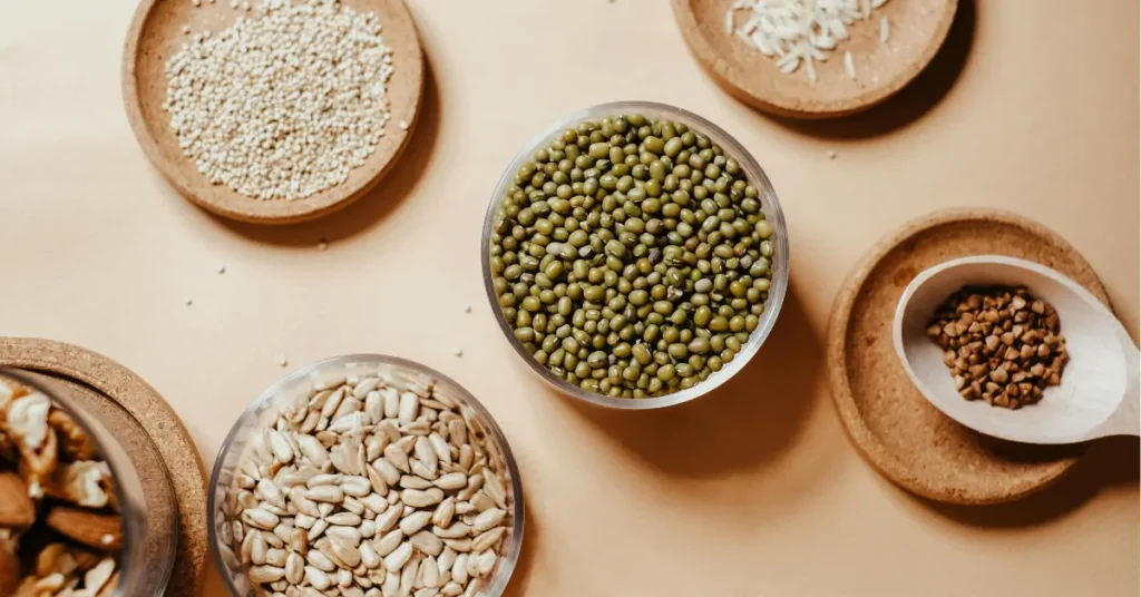 Top Plant-Based Proteins 2025 Backed by Science